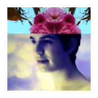 bloom